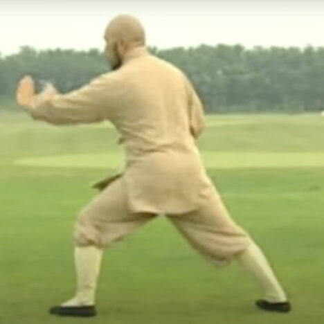 Het pagode bos van de Shaolin Tempel